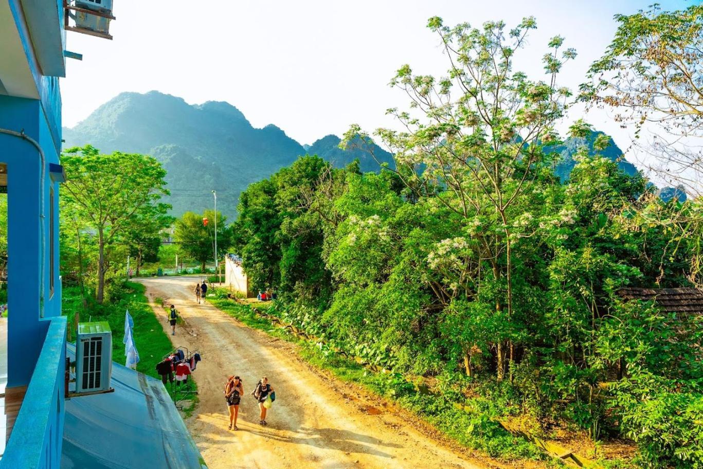 Phong Nha Cherish House Daire Dış mekan fotoğraf