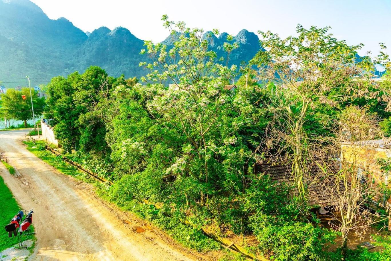 Phong Nha Cherish House Daire Dış mekan fotoğraf